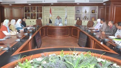 سكرتير عام بني سويف يناقش جهود لجنة مكافحة ناقلات الأمراض من الحشرات