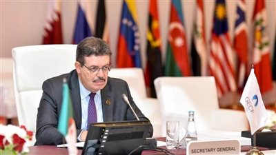  أمين عام الدول المصدرة للغاز لصناع القرار: فخورون بتنظيم مصر GOP27 للمناخ