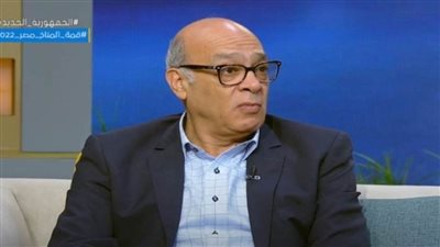 د.عماد الدین عدلي: دور رئيسى لمنظمات المجتمع المدنى بمؤتمر 