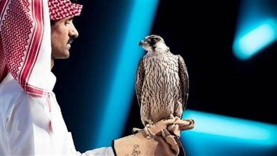 بيع 3 صقور بـ215 ألف ريال في مزاد نادي الصقور السعودي