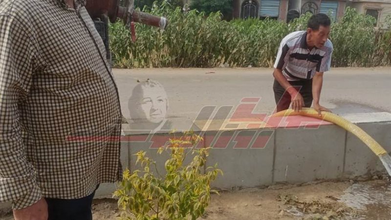 زراعة الأشجار