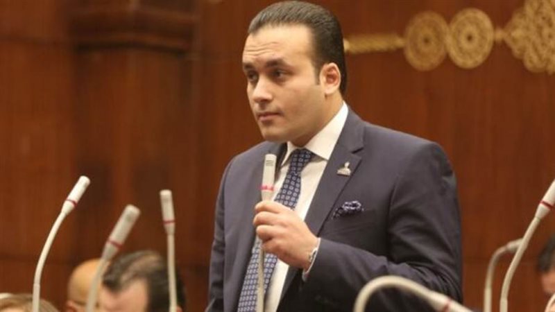 النائب عمرو فهمي