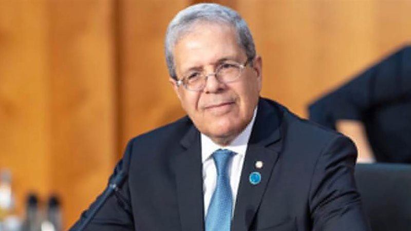 وزير الخارجية التونسي