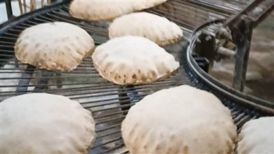 ضبط 5 أطنان ذرة مخلوطة ببودرة بلاط وتحرير 174 محضرًا 