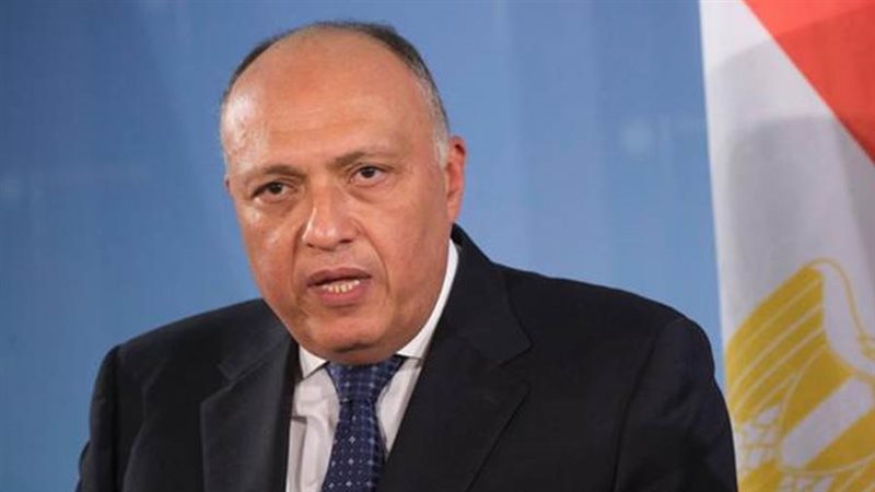 سامح شكري وزير الخارجية