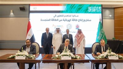 وزير الكهرباء يبحث مع وزير الطاقة السعودي تعزيز العلاقات بين البلدين