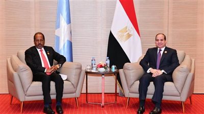 الرئيس السيسي يبدي استعداد مصر لمواصلة تقديم الدعم للصومال لبناء وترسيخ مؤسسات الدولة