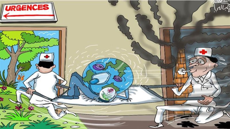 بوابة روز اليوسف