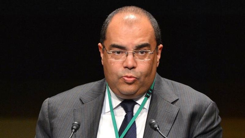 الدكتور محمود محيي