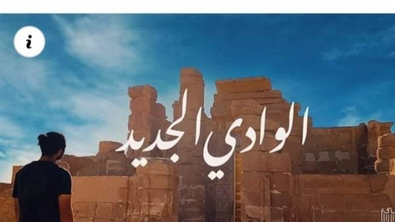 القوي العاملة بالوادى