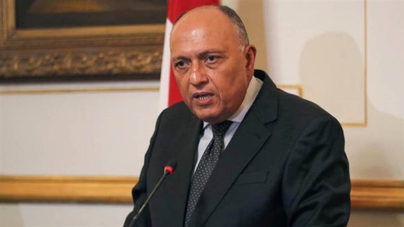 سامح شكري وزير الخارجية