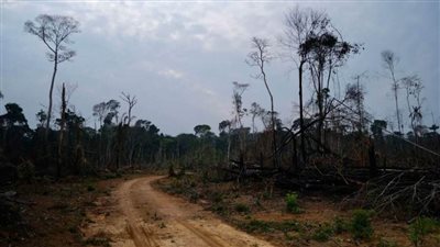 10 ساعات.. وتبدأ مهمة إنقاذ كوكب الأرض من الهاوية  