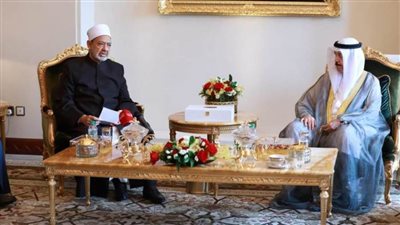 شيخ الأزهر يؤكد 