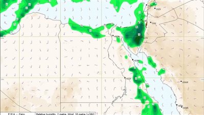 الأرصاد الجوية تصدر تحديثًا لآخر توقعاتها وتحذيرات من سقوطا أمطار