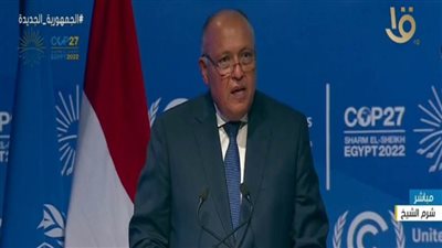 وزارة الخارجية: انتخاب سامح شكري رئيسًا لمؤتمر 