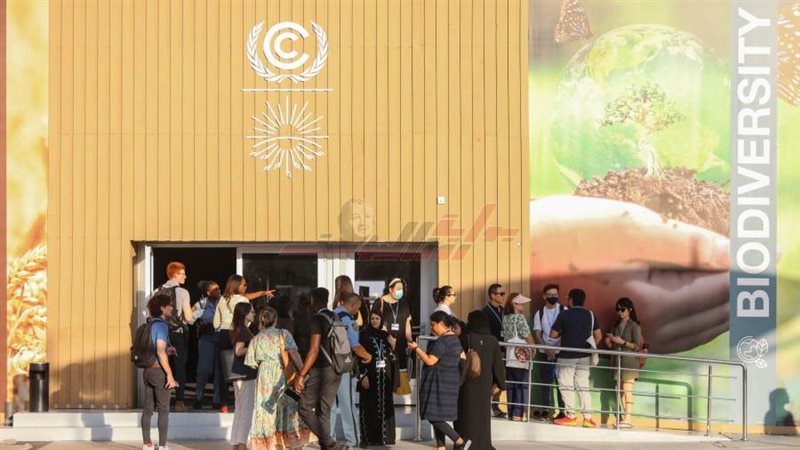 جانب من التجهيزات