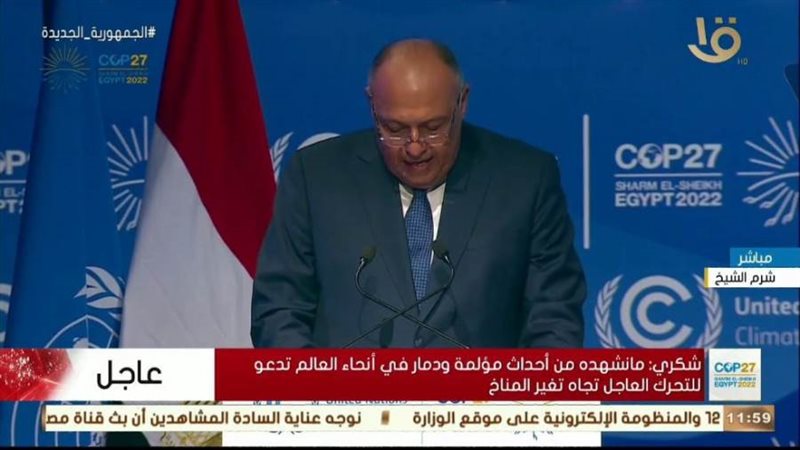 سامح شكرى وزير الخارجية