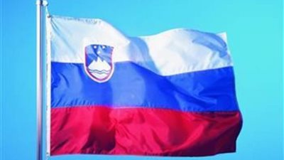 ارتفاع عائدات المبيعات عبر الإنترنت في سلوفينيا في عام 2021