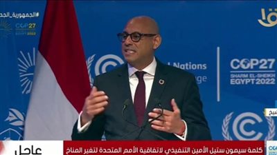 سيمون ستيل: أكثر من 44 ألف مشارك في COP27
