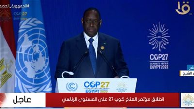 ماكي سال: 600 مليون نسمة من الأفارقة محرومون من الطاقة الكهربائية