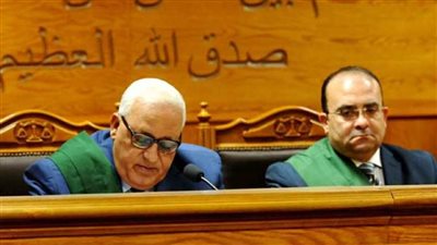 المشدد 10 سنوات لمتهم في خلية إمبابة