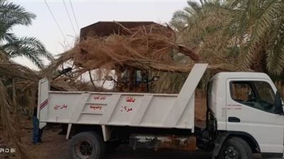 حملات للتخلص الآمن من مخلفات النخيل في الوادي الجديد 