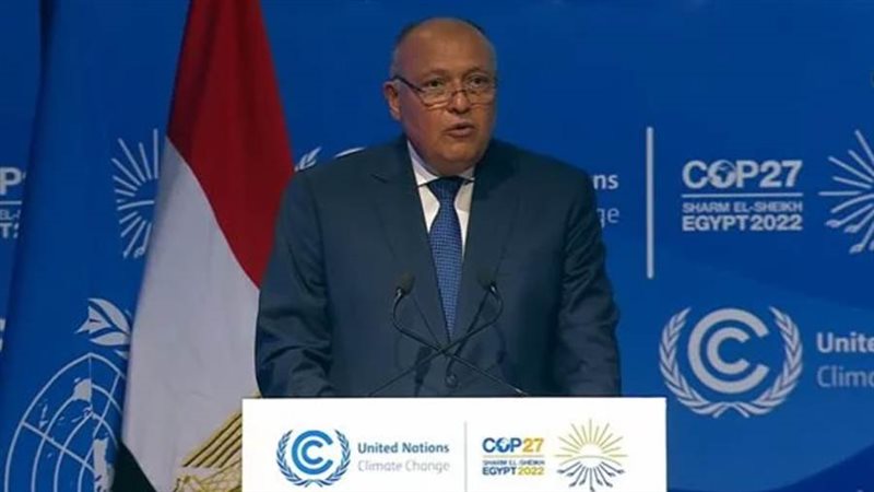 سامح شكري وزير الخارجية