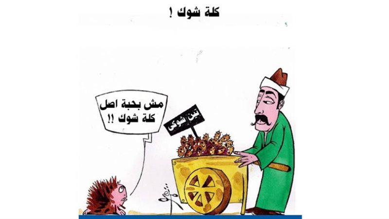 بوابة روز اليوسف