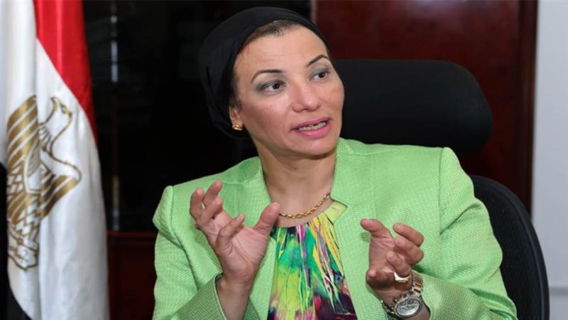 الكاتب الصحفي على