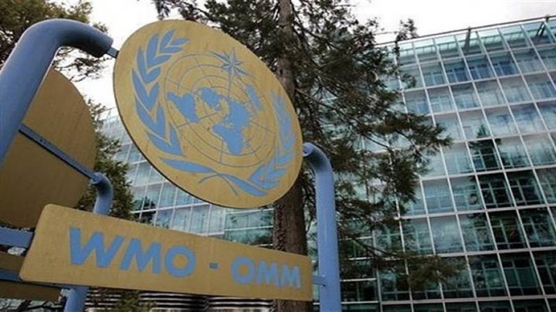 المنظمة الدولية للأرصاد