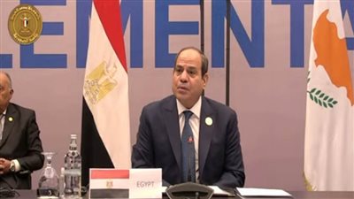 عاجل.. الرئيس السيسي : حرصنا على الانضمام لمبادرة 