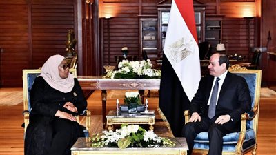 عاجل.. الرئيس السيسى يؤكد حرص مصر على تعزيز العلاقات مع تنزانيا على كافة الأصعدة