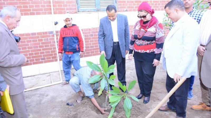 نائب رئيس جامعة أسيوط