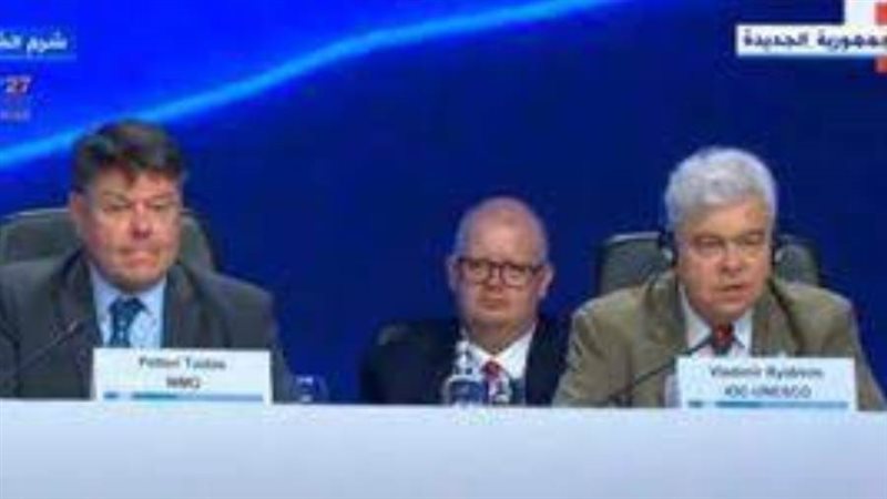 البروفيسور بيتيري