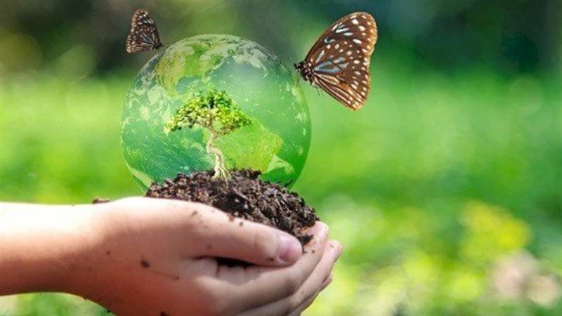 التنوع البيولوجي