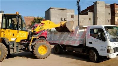 حملات نظافة مكبرة بشوارع وقرى كفر الشيخ
