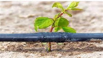 الصين تحسن كفاءة استغلال مياه الري