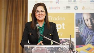 عاجل.. وزيرة التخطيط: COP27 فرصة للانتقال بسرعة من مرحلة التفكير والتعهد إلى الحلول والتنفيذ