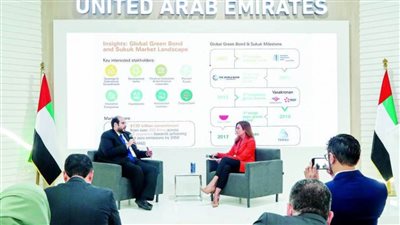 17 مليار دولار حجم سوق السندات والصكوك الخضراء في الإمارات