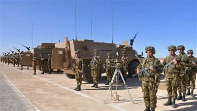 الجيش الجزائري: ضبط 7 عناصر دعم للجماعات الإرهابية و166 مهاجرا غير شرعي خلال أسبوع