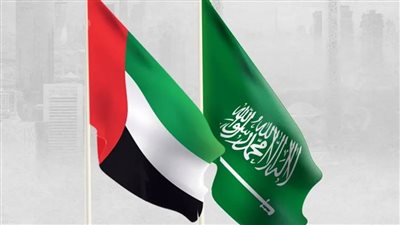  اجتماع سعودي إماراتي لتعزيز التعاون في السهام 
