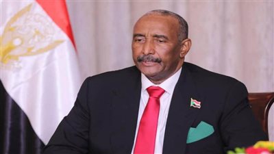 البرهان يستعرض جهود مكافحة حمى الضنك والملاريا بالسودان