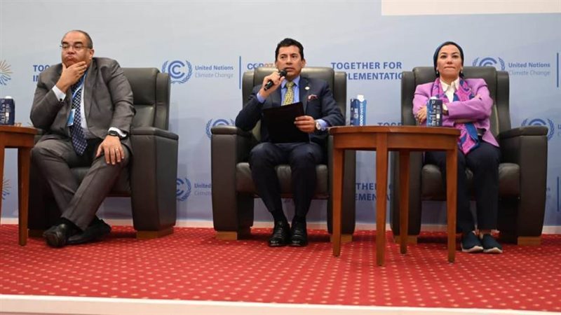 د. أشرف صبحى