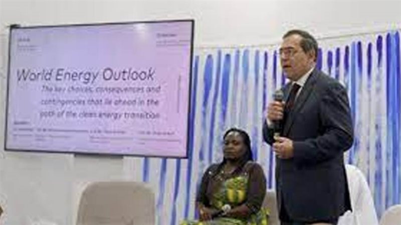 وزير البترول والثروة