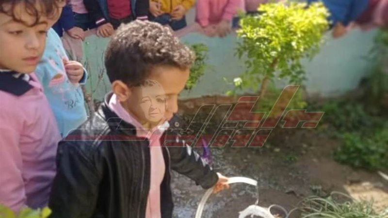 زراعة الأشجار