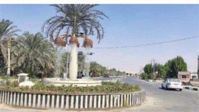 منذ الصباح الباكر هدوء وسيولة مرورية بميادين وشوارع الوادي الجديد 