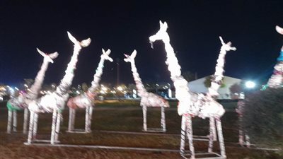 تصميم حيوانات من مواد معاد تدويرها ب بالمنطقة الخضراء