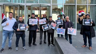 المصريون بألمانيا يدعمون 