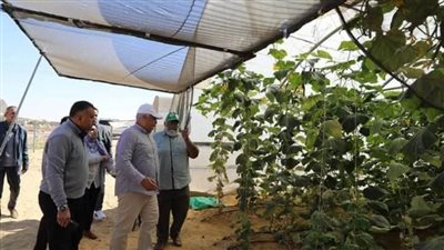 محافظ الوادي الجديد يتابع مشروعات الصوب الزراعية بالخارجة لتوفير الخضراوات بأسعار مخفضة