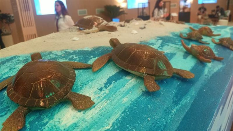 الجناح السعودي في